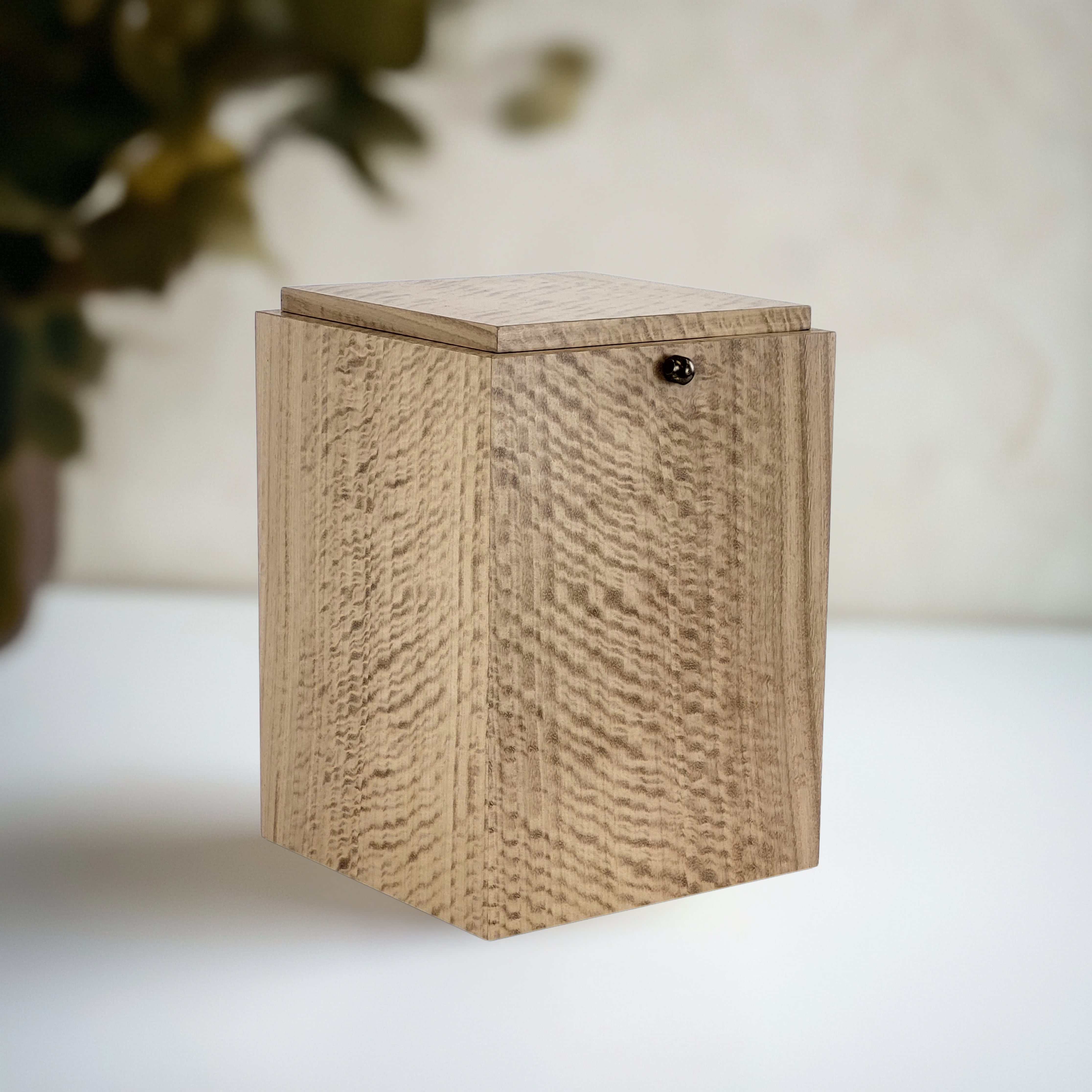 NOVA Natural Eucalyptus - Onecof.com