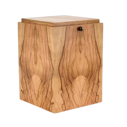 NOVA Olive Tree
