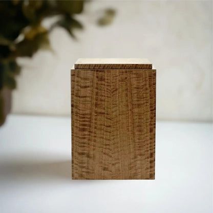 NOVA Dark Eucalyptus - Onecof.com