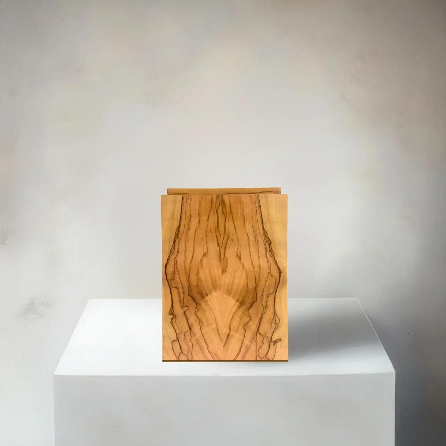 NOVA Olive Tree
