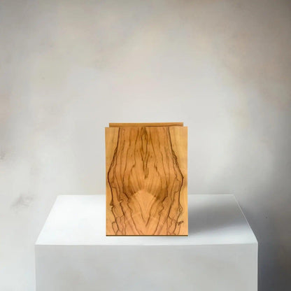 NOVA Olive Tree